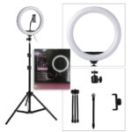 filllight_1727859652.jpg